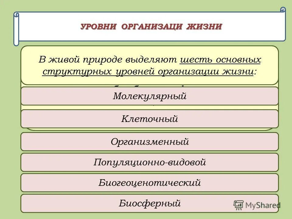 Уровни живой природы. Охрана природы уровни организации живого. Шесть основных структурных уровней жизни. Уровни организации живой природы. 3 уровни охраны