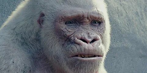 Jason Liles in Rampage (2018) .