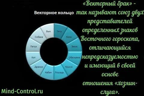 Векторный слуга