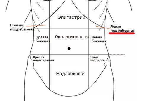 Боль с левой стороны под ребрами. Колит справа сбоку ниже ребер. Колит в левом боку под ребрами спереди. Что колет в левом боку под ребрами спереди. Органы живот справа спереди.