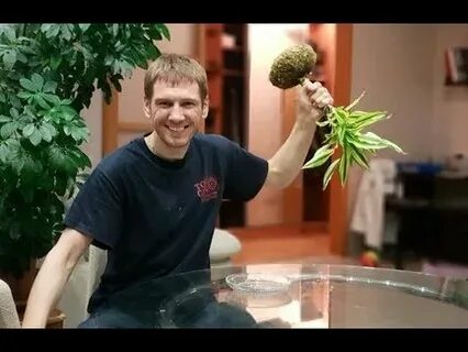 Plant mp3
