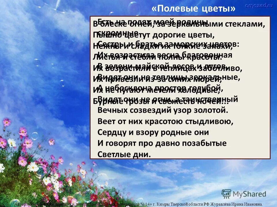 Пышно цветут дорогие цветы бунин. Бунин рабочие листы полевые цветы. Бунин рабочие листы полевые цветы. Бунин полевые детство. Бунин полевые цветы 1901.