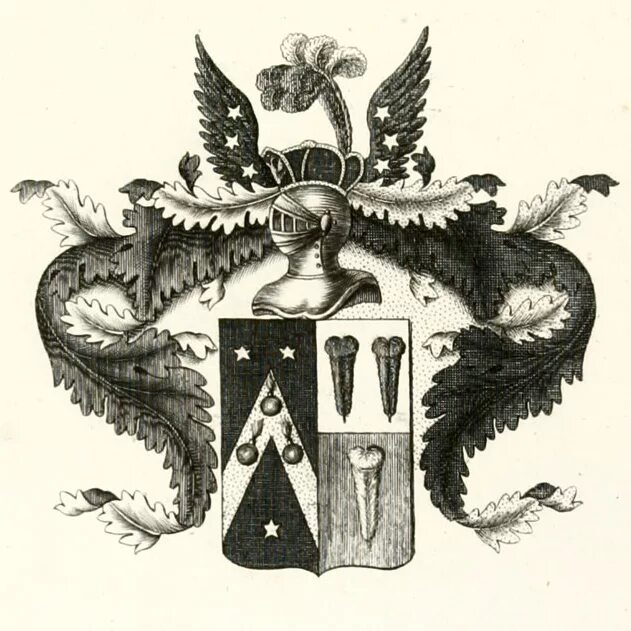 гербы швеции дворянства. герб рода князей кудашевых. древние рода швеци и их гербы. птицы на гербе швеции. шведский дворянский род 4 буквы.