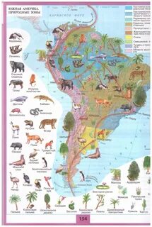 7 класс. География. Учебник "Полярная звезда" - отзывы покупателей на Мегамаркет