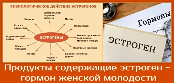 Источник эстрогенов. Эстрогены в продуктах. Эстрогены в продуктах таблица. Продукты с эстрогенами для женщин. Женские гормоны в продуктах питания.