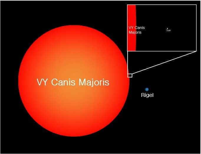 канис майорис звезда. танцы большого пса. танцы большого пса. созвездие большого пса звезда vy. танцы на vy большого пса.