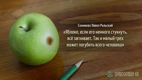 В котором запоминает каждую яблоню каждую