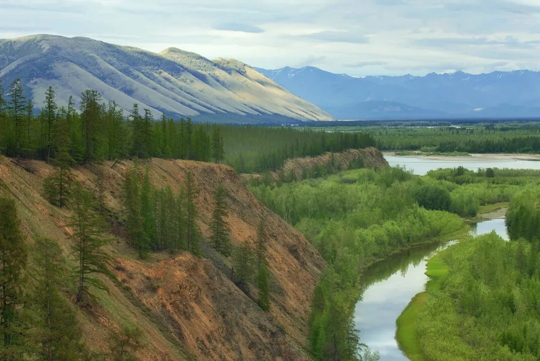 Саха восточная сибирь. Река Индигирка. Северо Восточная Сибирь река Индигирка. Река Индигирка Якутия.