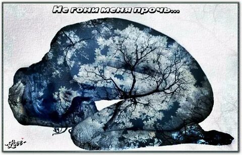 Долги души