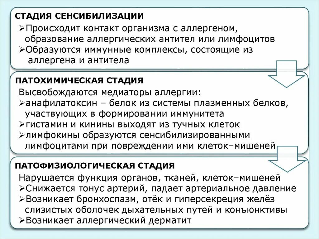 Сенсибилизация происходит в результате. Стадии и фазы аллергической реакции. фазы аллергической реакции сенсибилизация. этапы сенсибилизации. сенсибилизация патофизиология.