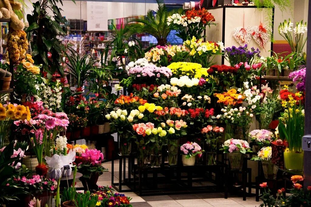 Цветы на срез. Цветы в цветочном магазине. Витрина цветочного магазина. Интерьер цветочного магазина. Ассортимент цветов.