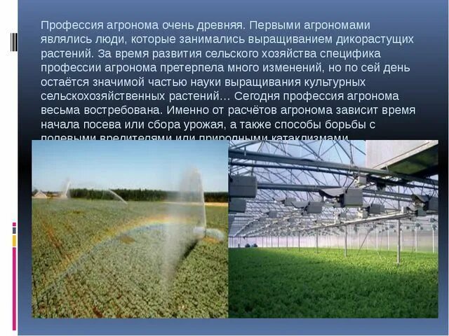 Чем агроном полезен обществу. Профессии растениеводства агроном. Сообщение о Агрономе. Профессии сельского хозяйства с растениями. Презентация по агрономии.