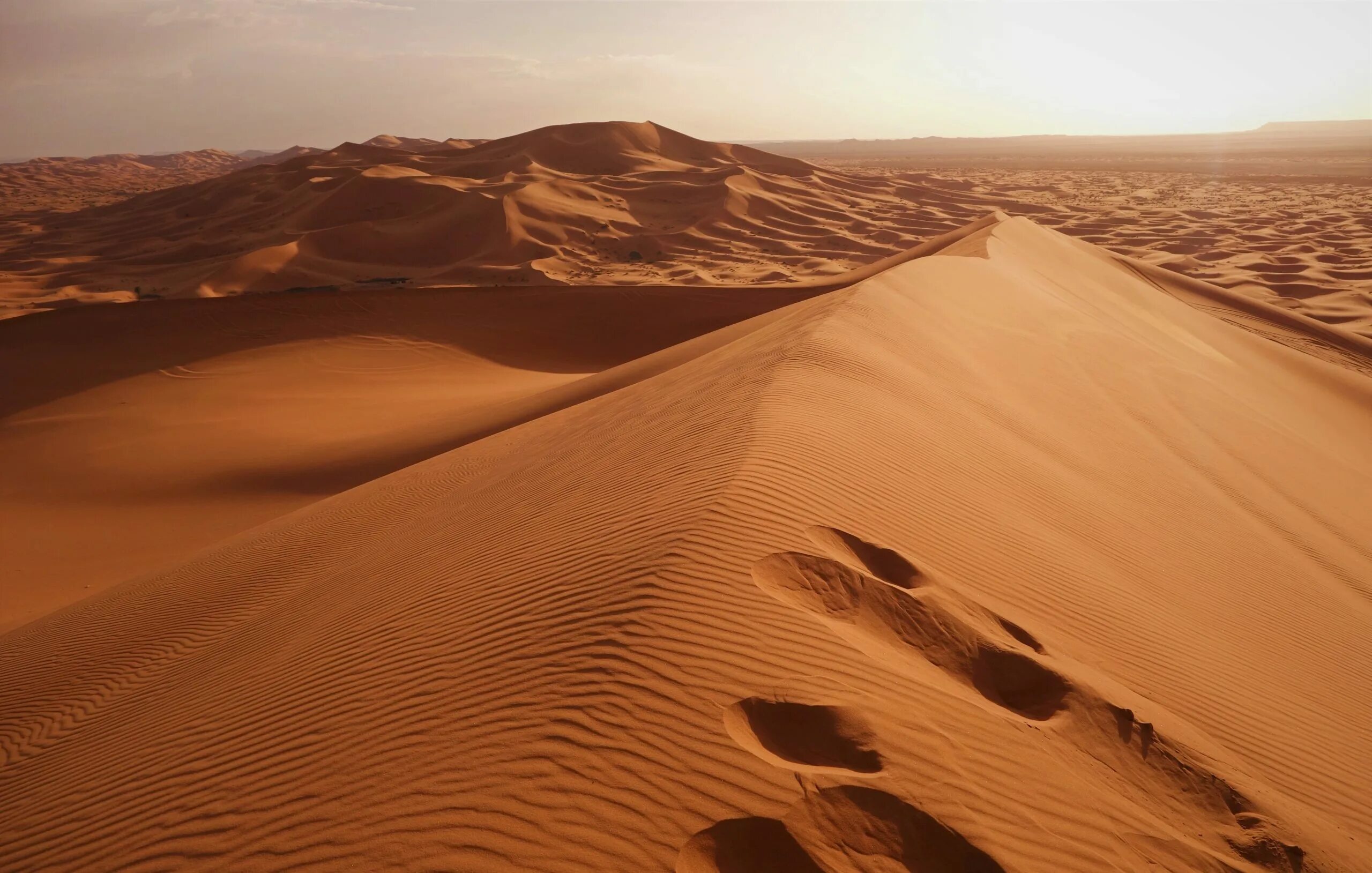 Наибольшая пустыня в мире. Африка сахара. Пустыня сахара. Пустыня сахара (Sahara Desert). Эль ХАМРА пустыня.