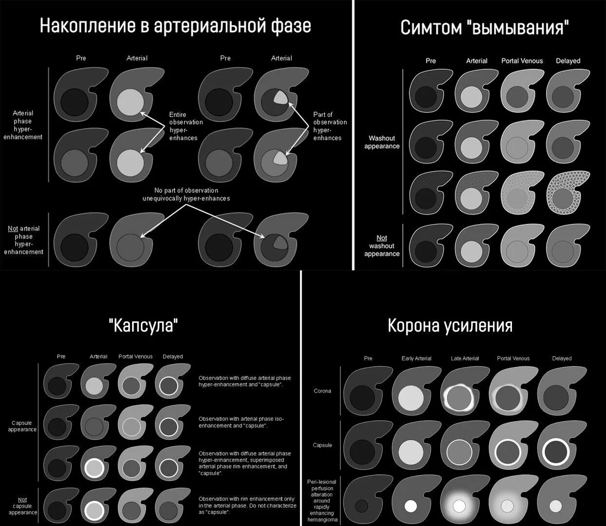 Что значит копишь. Birads классификация. Типы накопления контраста в мрт. Дифференциальная диагностика образований печени мрт. Bi rads мрт.