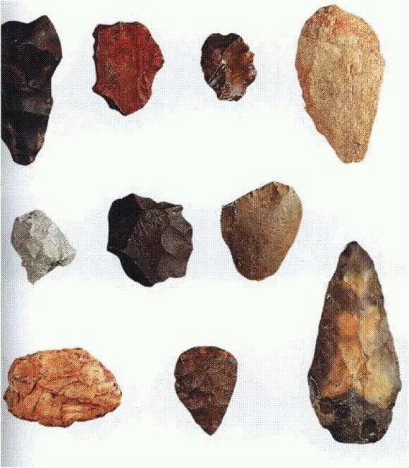 Человек умелый (homo habilis) орудия труда. Что мог делать человек умелый. Олдувайская эпоха орудия труда. Хомо хабилис изготовление орудий труда. Человек умелый презентация.