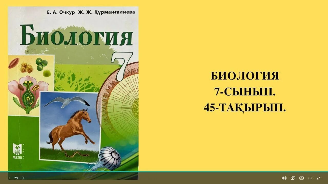 Тест биология 9 сынып жауабымен. Тамыр. Биология 7 сынып сабақ. Ксилема и флоэма. Биология 9 сынып 53 параграф.