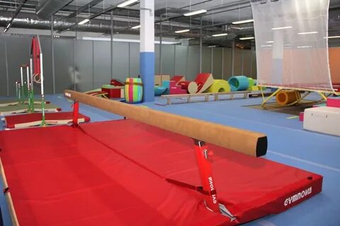 Европейский гимнастический динамо