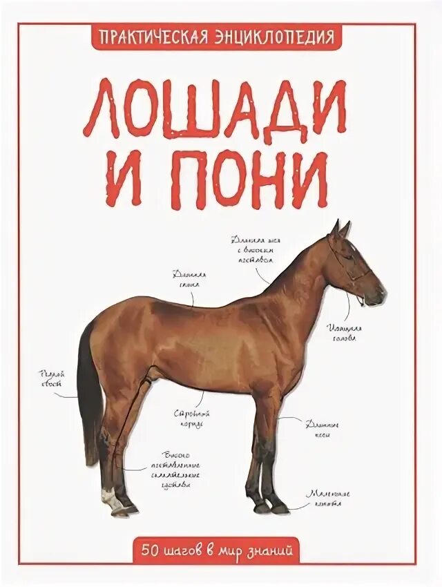 Книги практическая энциклопедия. Книги по практической йоге. Практическая энциклопедия йоги. Энциклопедия. Книга на камне.