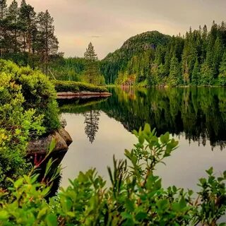 Ну природа