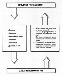 Психологическая деятельность и поведение человека