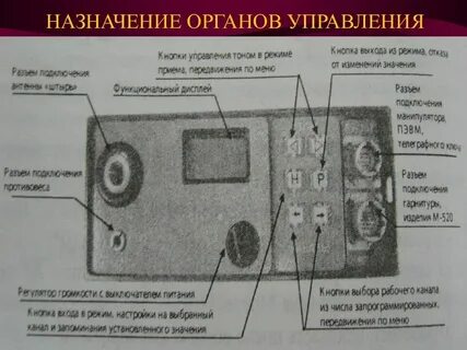 Перечислите основные органы управления