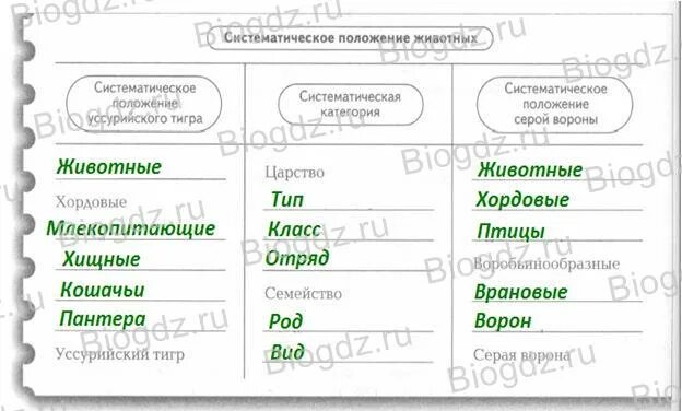 Заполните таблицу класс животных Презентация к уроку окружающего мира во 2 классе "Какие бывают животные"