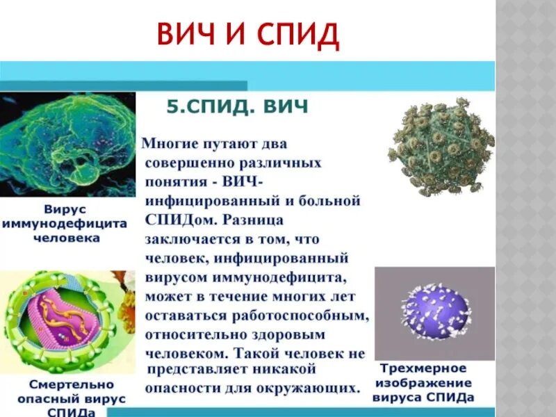 Сообщение на тему вирусы по биологии. Вирусы презентация. вирусы биология 10 класс. презентация про вирусы по биологии 10 класс. презентация на тему вирусы по биологии.
