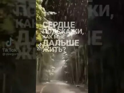Сердце подскажи как мне дальше жить песня