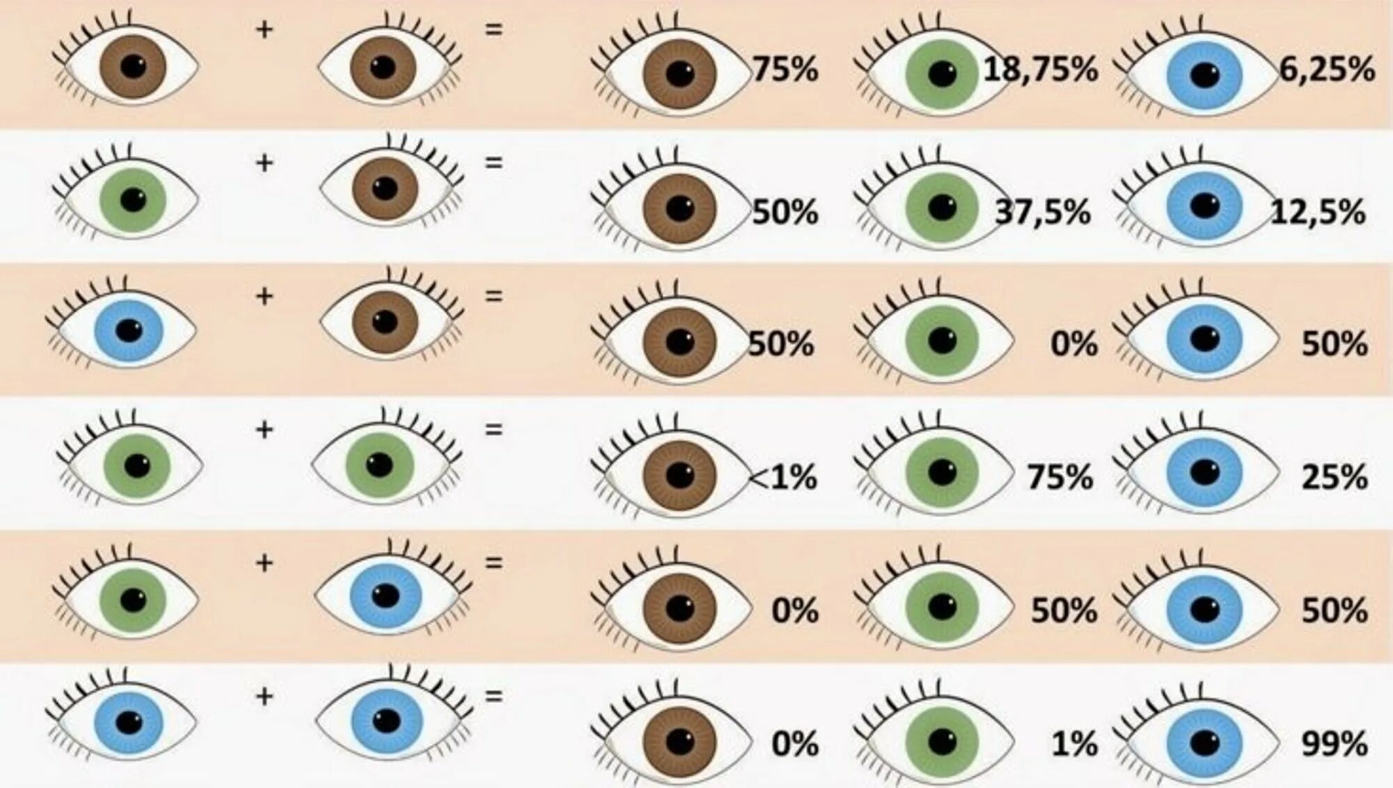 Смешать цвет глаз. Наследование цвета глаз. Наследование цвета глаз у человека. Наследованиемцвета глаз. Генетика цвета глаз человека.