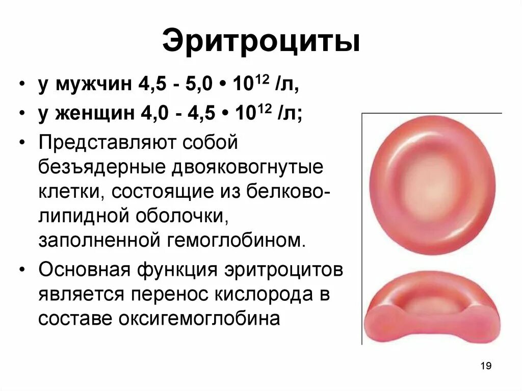 Повышенный уровень эритроцитов. Эритроциты 4.31. Эритроциты 4.5. Эритроциты 4.29. 3-4 Эритроцита.