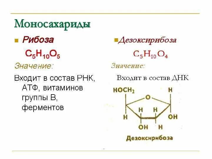 2 Дезоксирибоза. Структурная формула рибозы и дезоксирибозы. Углеводные компоненты: рибоза и дезоксирибоза.. Дезоксирибоза+h2. Рибоза характеристика