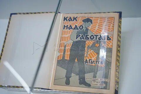 Будущие литературы
