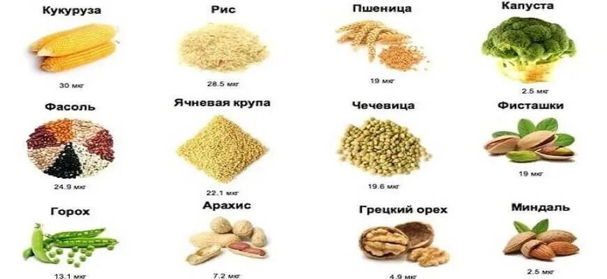 Продукты богатые селеном таблица. Продукты питания содержащие селен.