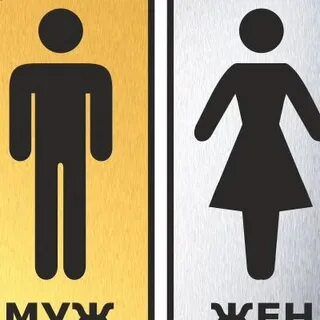 Туалетная жена