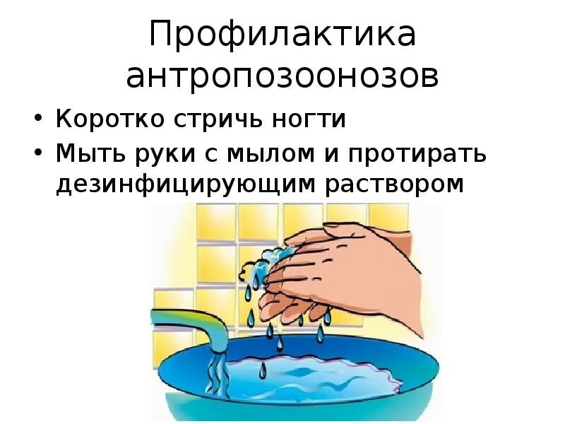 Мыть руки с мылом. Мойте и дезинфицируйте руки. Мытье рук медицинского персонала. Табличка мытье рук водой и мылом.