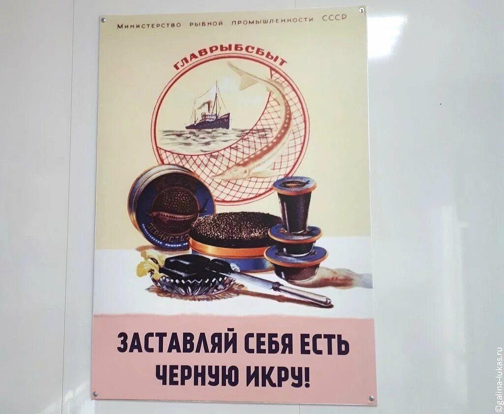 Советские плакаты про склад. Советские плакаты про черную икру. Советские рекламные плакаты. Плакат про черную икру ссср. Плакат заставляй есть черную икру ссср.