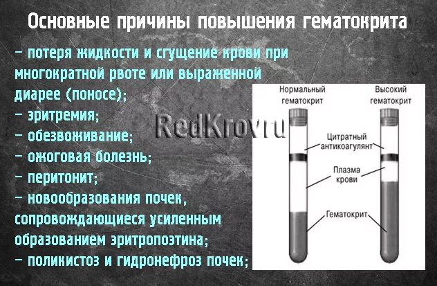 Почему повышен гематокрит в крови