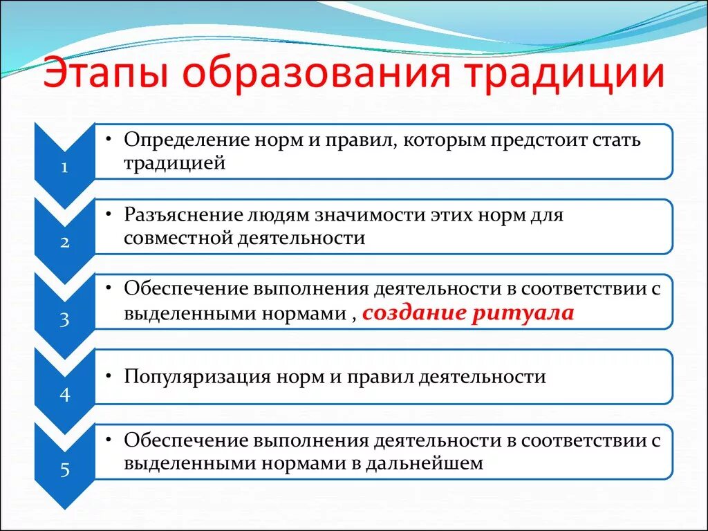 Каковы этапы образования