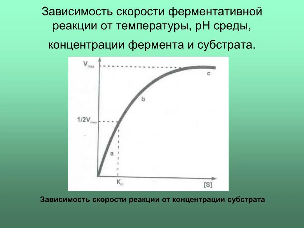 Зависимость скорости реакции от субстрата. Зависимость от концентрации субстрата. зависимость скорости ферментативной реакции. зависимость скорости реакции от концентрации субстрата. зависимость скорости реакции от концентрации фермента и субстрата.