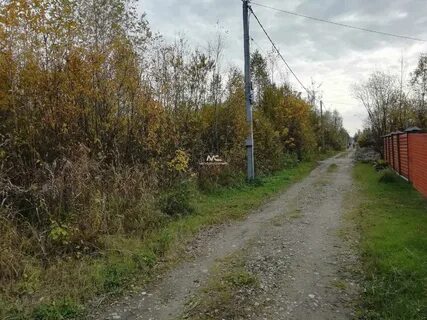 Снт росинка