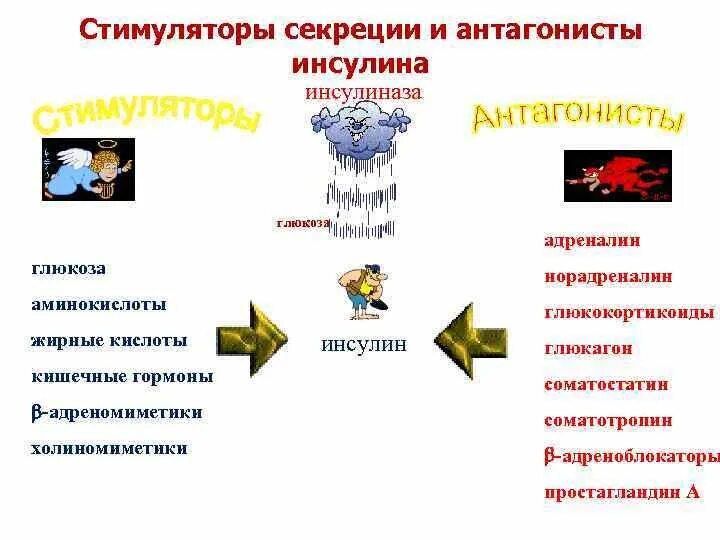 Регуляция выработки гормонов надпочечников. Секреция адреналина. Механизм действия катехоламинов. Адреналин структура гормона. Адреналин гормон секреция.