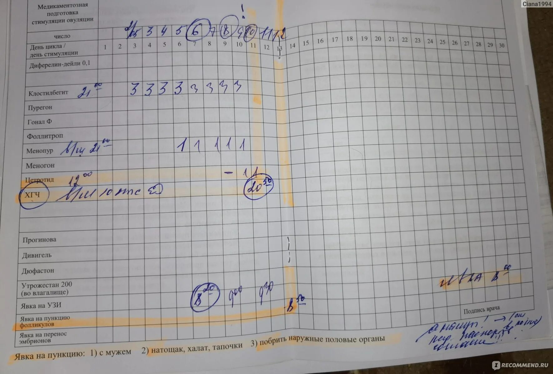 Цикл при стимуляции. Протокол эко по дням. протокол стимуляции овуляции. схема стимуляции овуляции.