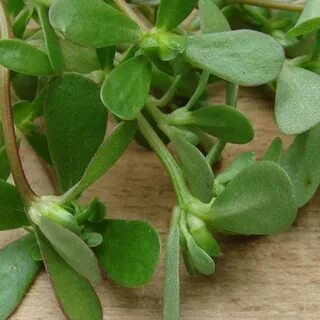 Nudist plyajda qora tanli odam video