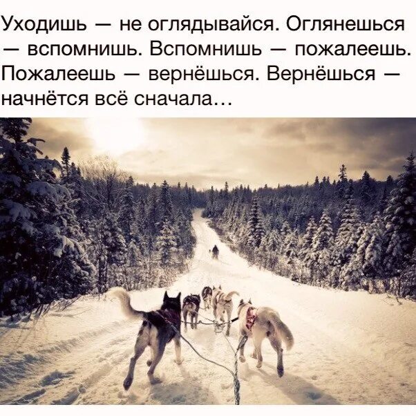 Когда начинают возвращаться бывшие