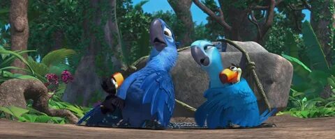 Видео rio