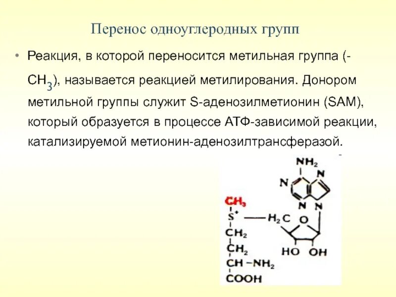 Т3 как называется