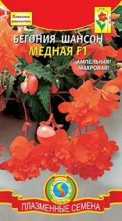 Бегония шансон
