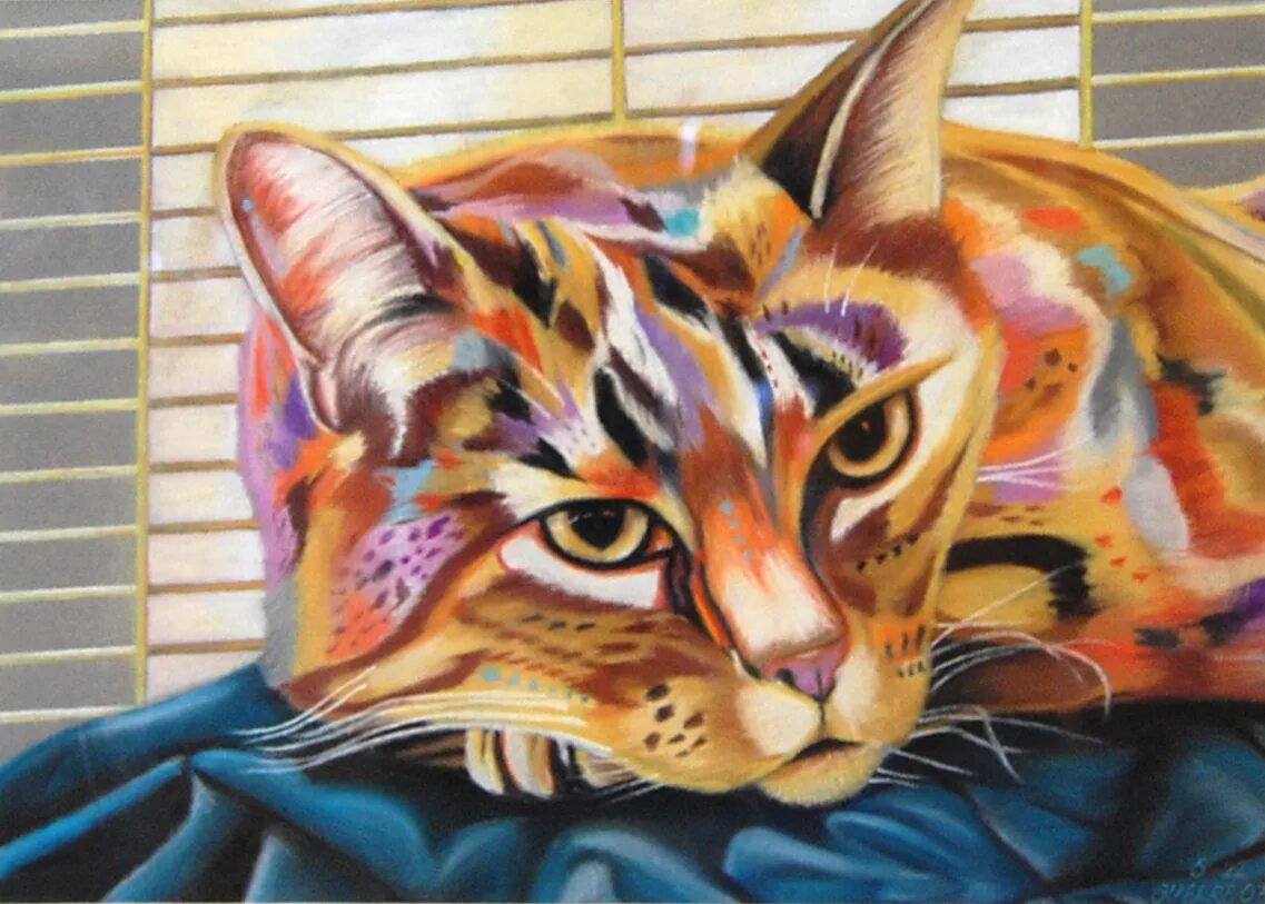 крашеный кот. окрашивание кошек. окрашенные кошки. разноцветный кот. кошки с необычной шерстью.