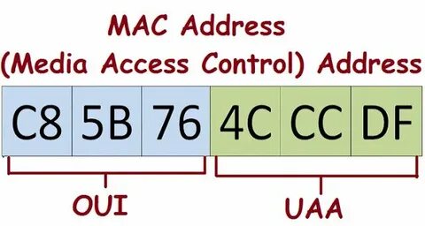 Find mac address