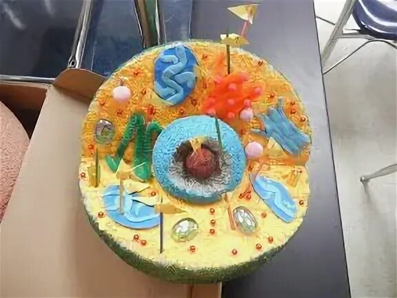 Cell project